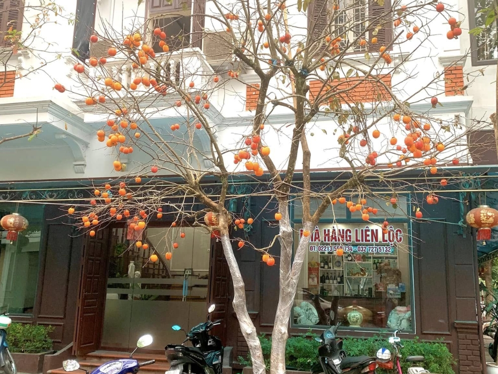 Địa chỉ nhà hàng ở đâu?